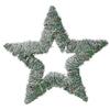 40 LED Luminous Star 58 Cm