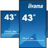 IIYAMA LH4360UHS-B2AG