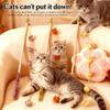 Gatos – Brinquedos para gatos