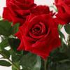 Red Velvet Rose Artificial Flowers - 10 Long Stems for Living Room or TV Cabinet Decor
