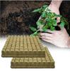 100PCS/50PCS 40mm/30mm Stonewool Hydroponic Grow Media Cubes Plant Cubes Soilless Substrate Seeded Rock Wool Plug Seedling Block