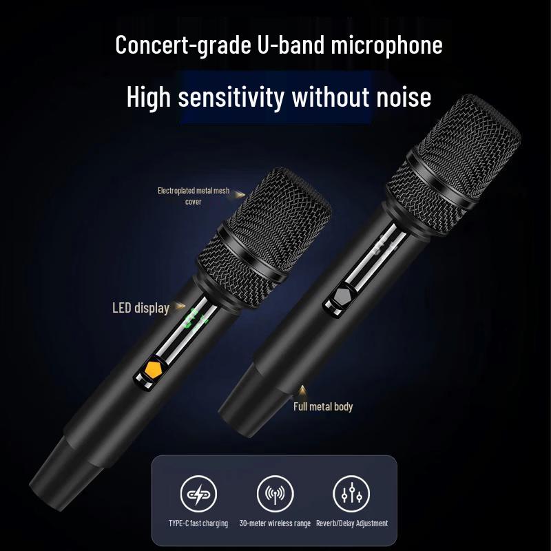 SANSUI G26 Portable Karaoke Speaker (CN version)