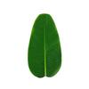 Wedding Artificial Leaves Accessories Garden Hawaiian