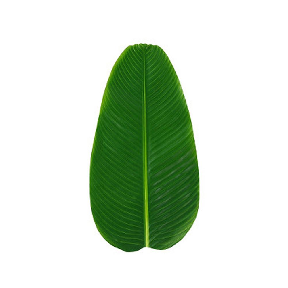Wedding Artificial Leaves Accessories Garden Hawaiian