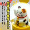 Wereld Goed Geluk Japans Gelukkig Interieur Sneeuwbol IA25008 JARLLSnow - Geluk, Kat, Kat, Cadeau, Souvenir, Viering, Decor, Ornament,