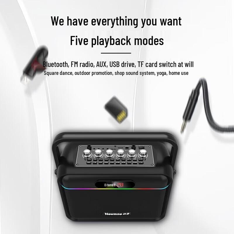 Newmine K112 Portable Bluetooth Karaoke Speaker CN plug (adapter included)