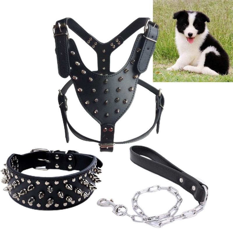 dog walking training collar