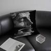 Ballade Pour Adeline Pillow Case Short Plush Double-sided Print Square Throw Pillow Covers Sofa Home Cushion Decor