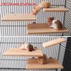 1Pcs Household Pet Wood Stand Platform Bird Toys Parrot Rack Hamster Accessories Suitable Home Pet Parrot Stand Supplies