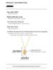 Banyan Tree Silver Forest Series Micro-Diamond Leaf Necklace for Women