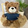Teddy Bear Plush Toy with Hoodie Soft Stuffed Animal for Christmas Gift Cartoon Huggable Plush Doll for Kids