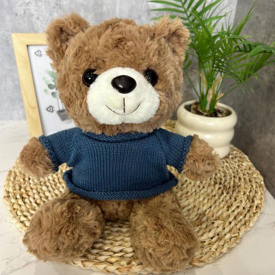 Teddy Bear Plush Toy with Hoodie Soft Stuffed Animal for Christmas Gift Cartoon Huggable Plush Doll for Kids