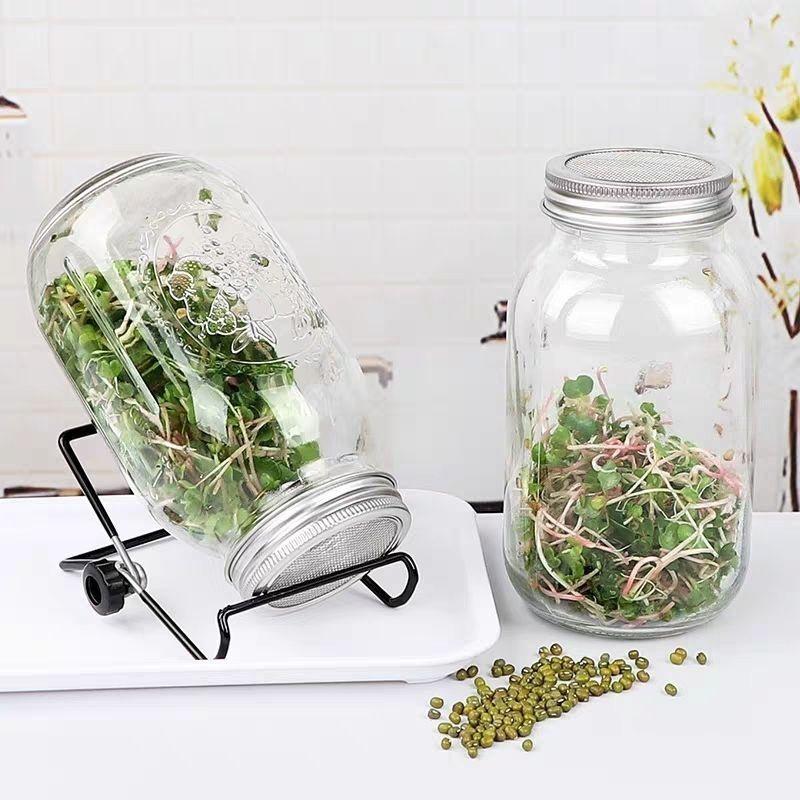 Seed Sprouting Glass Mason Jar with Stainless Steel Lid and Stand
