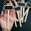 Seedling Tags Classification Plant Tags Plants  Signs Plant  Markers Garden Decoration Tools