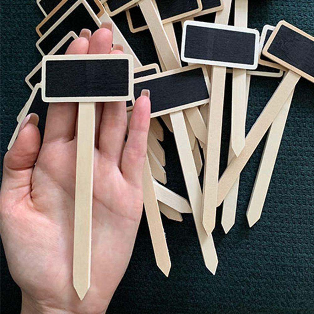 Seedling Tags Classification Plant Tags Plants  Signs Plant  Markers Garden Decoration Tools