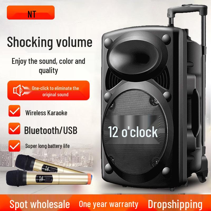 12-Inch Portable Bluetooth Speaker with High Volume for Outdoor Events and Karaoke