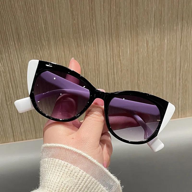 Premium New Fashion Big Frame Sexy Ladies Sunglasses Women For Female Luxury Designer Sun Glasses Vintage Punk Double Color Shade