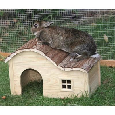 Produse pentru animale – Rozătoare