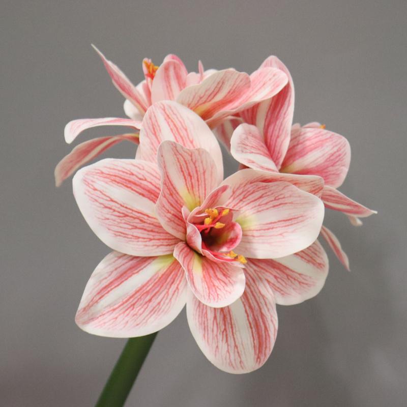 2pcs Artificial Kaffir Lily Flower Branch Real Touch Clivia Stem for Wedding Home Decoration