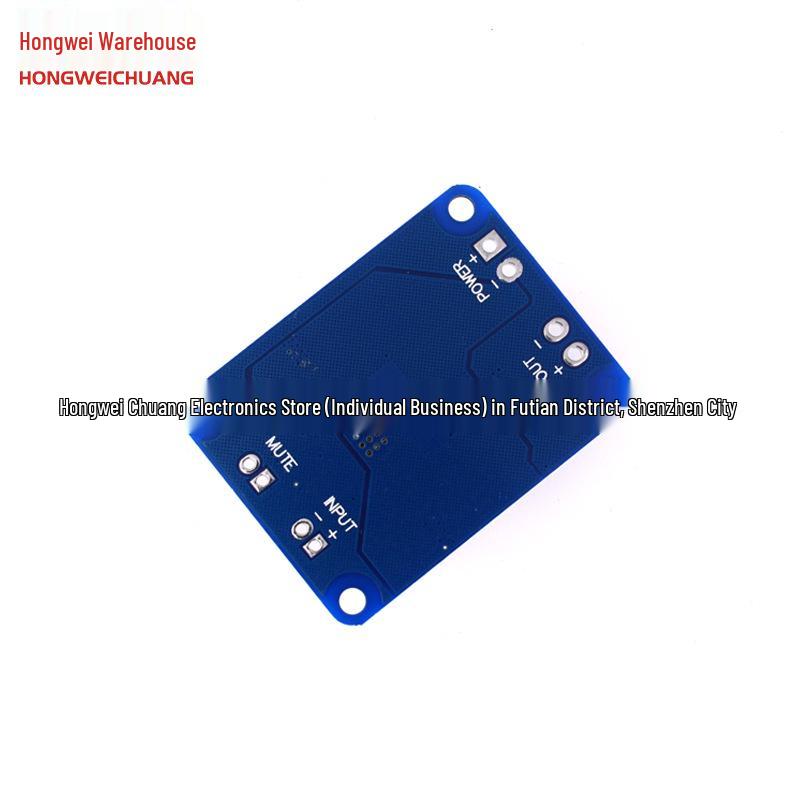 TPA3118 Mono Digitalverstärkerplatine 60W Chip