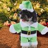 Lovely Christmas Outfit for Dog Cats Santa Costume Jumpsuit Hat Set Pet Festival Costume Theme Party Photoshooting Props
