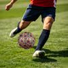 1pc Lion Jungle Theme Soccer Ball Football, Size 5, Lightweight PVC, Outdoor Training Soccer Ball,Sports Gift t61496