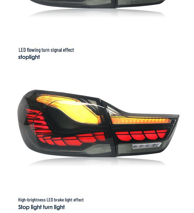 BMW 4 Series F32 F36 LED Taillight Mod: Dragon Scale Daytime, Reversing, and Brake Lights Assembly