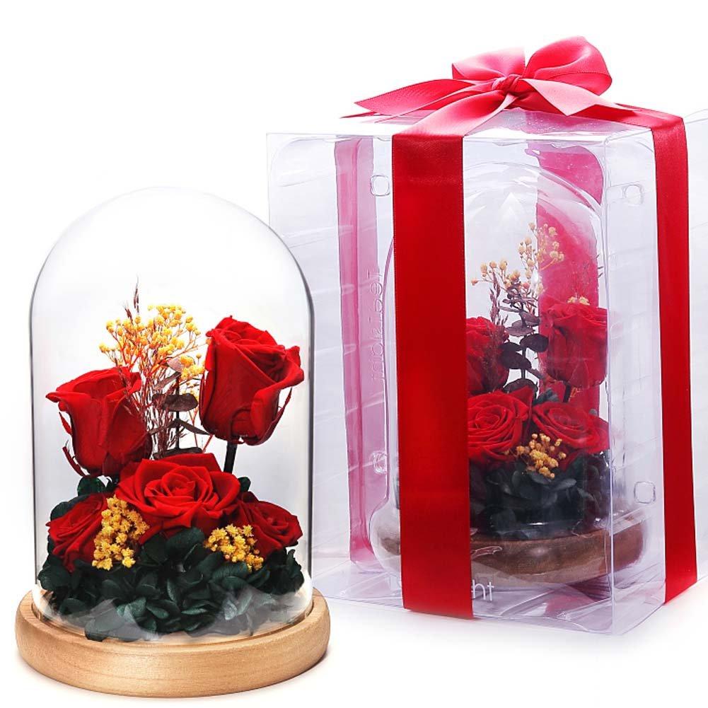 TEATSIGHT Preserved Flower Arrangement, Pre-Wrapped, Glass Pot, 5 Flowers (Red Roses)
