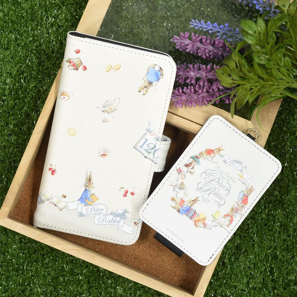 Gourmandies Peter Rabbit(TM) IC Card Case PR-96 PR-96A (Shugo)