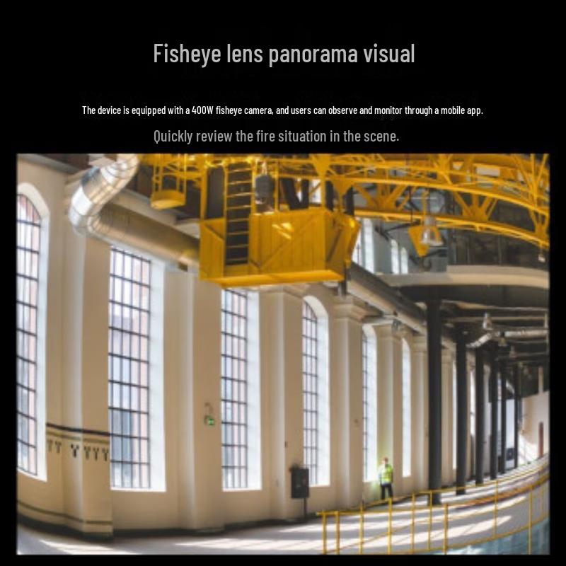 Hikvision 4MP 360° Panoramic Fisheye Camera with Smoke Detection