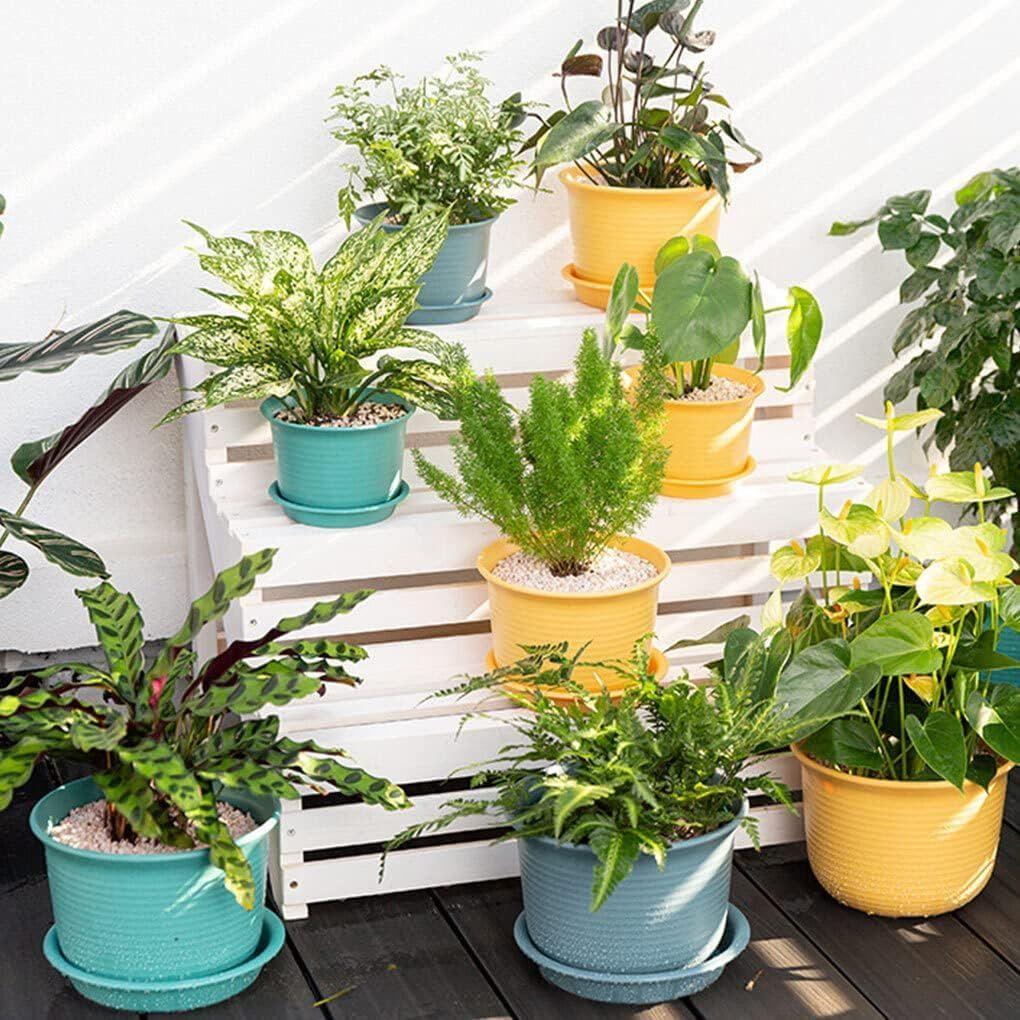 Plastic Round Flower Pots with Tray for Home Planters, Terrace, Garden Etc | Pack of 05 | Multicolor | Size 8 Inch | for Home Indoor & Outdoor