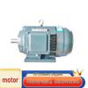 PLEG IE4-90L-2 Three-Phase Asynchronous Motor
