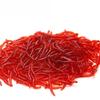 20pcs Lifelike Red Worm Soft Lure Earthworm Ice Winter Fishing Silicone Artificial Bait Fishy Shrimp Additive Bass Ca