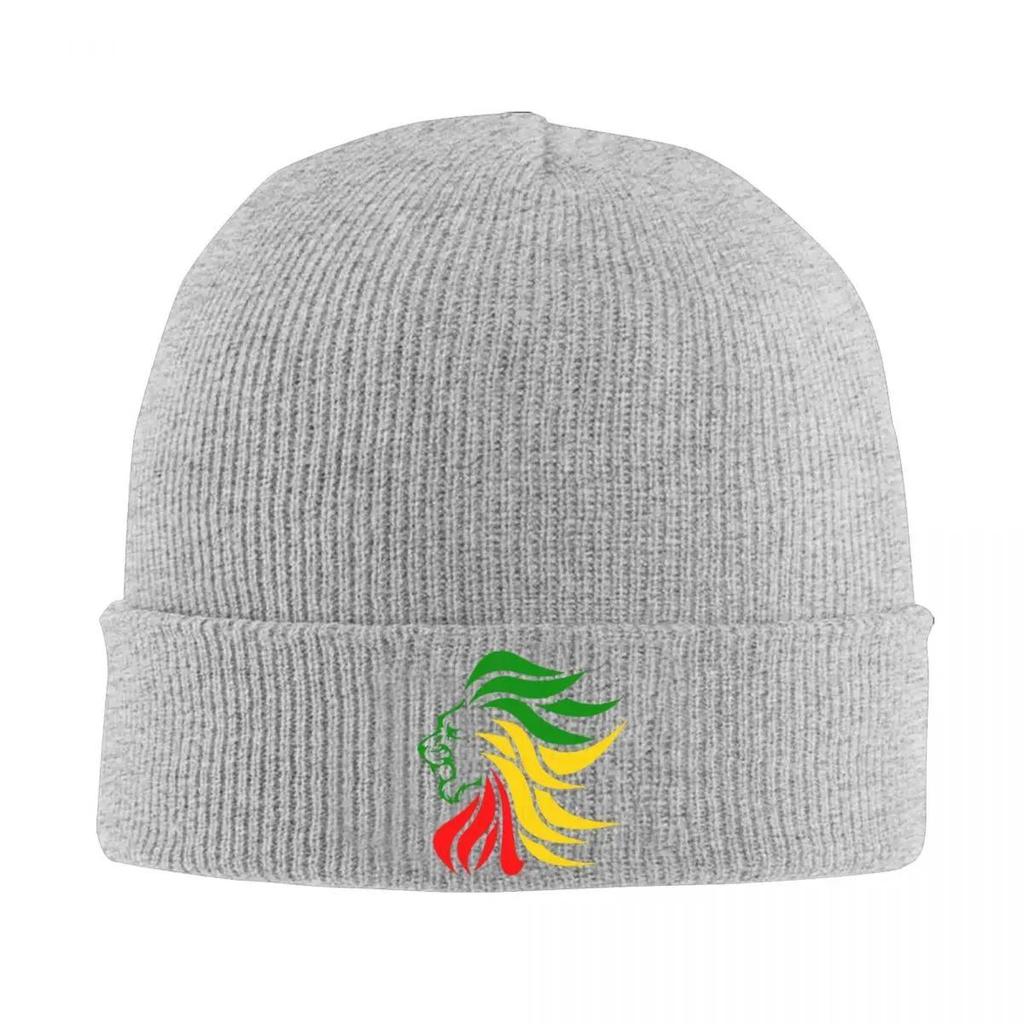 Rasta Lion Rastafari Jamaica Judah Knitted Caps Women's Men's Skullies Beanies Winter Hats Acrylic Hip Hop Cap