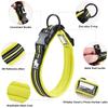 Truelove Reflective Dog Collar with Plastic Clip-in Buckle, High-grade Soft Padded Nylon Webbing, No Choke Basic Collars (XS, Green)