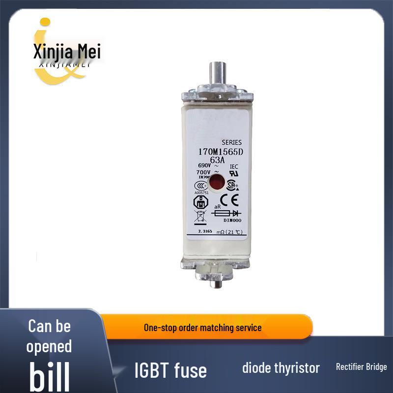 

Fast-Acting Fuses (170M1565D/6D/7D), Electronic Components, High Volume, Fast Delivery 170M1567D