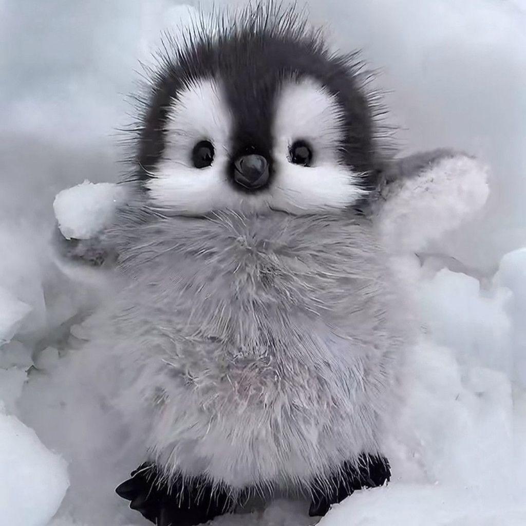 Cute Penguin Plush Toy With Polyester Fiber Filling For Kids And Birthday Gifts