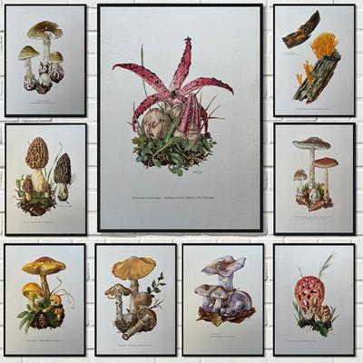 Vintage Naturwissenschaften Biologie Sporen Poster Pilze Illustration Leinwandbild Antike Wandkunst Laborraum Heimdekoration