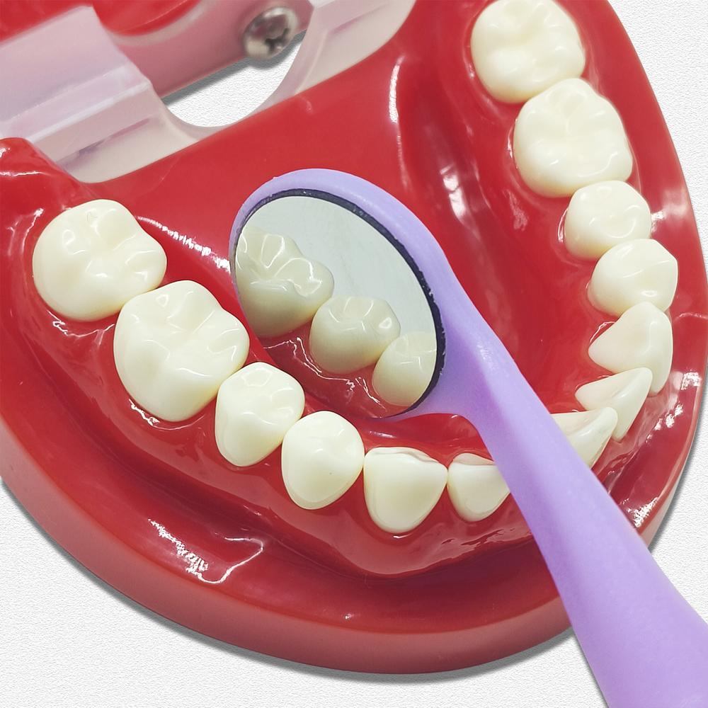 1 Piece Dental Mouth Mirror Oral Examination Mirror Front Surface Ultra Definition with Endo Ruler Refractive Index 99.2% 92% and 85%