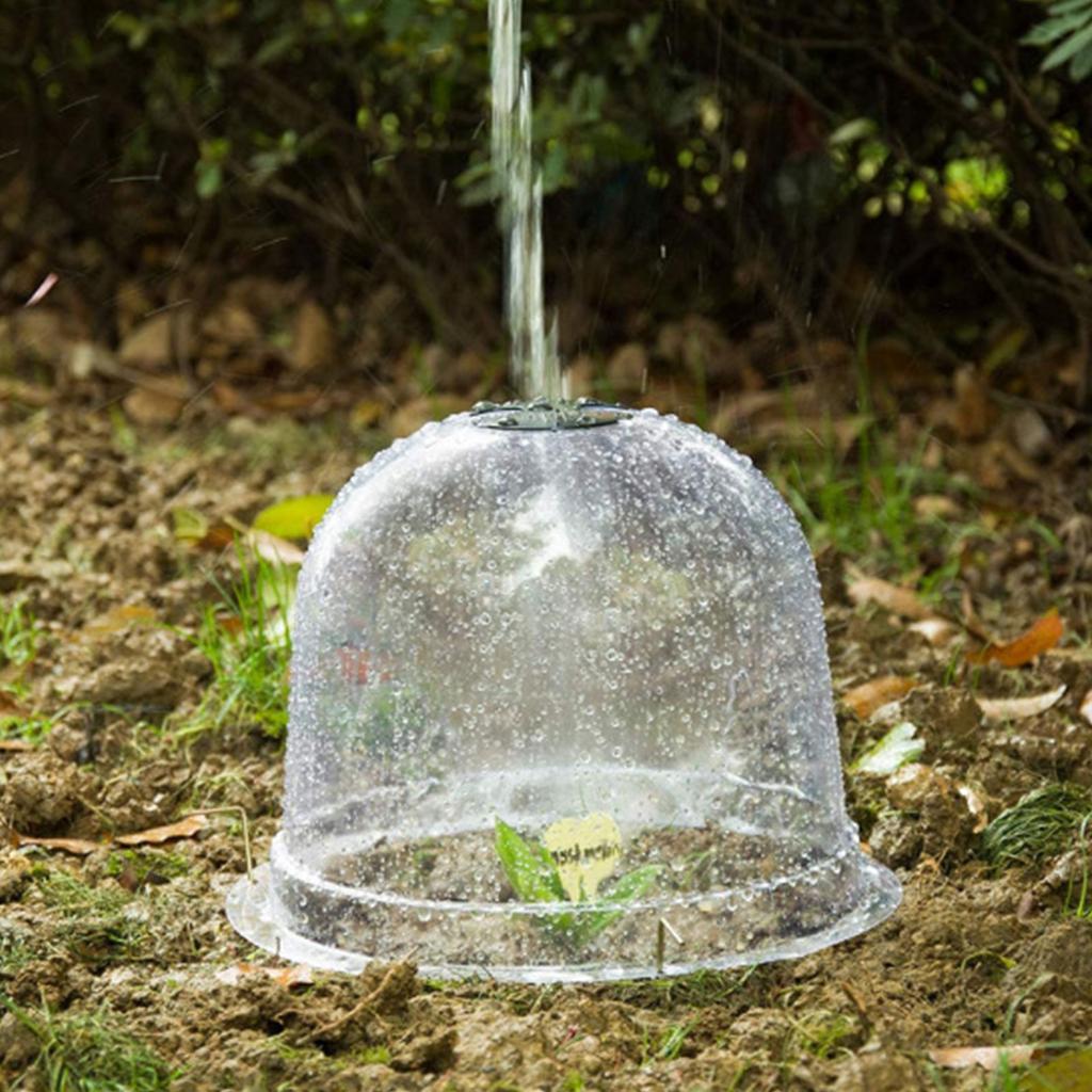 6Pcs Garden Plant Cloche Plant Dome Bell Cover Reusable Plastic Mini Greenhouse for Warming Garden Soil Plant Protect