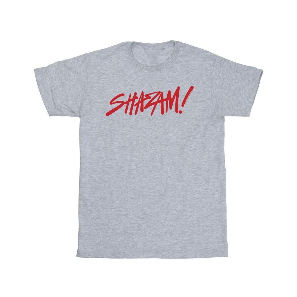 DC Comics Mens Shazam Fury Of The Gods Spray Paint Logo T-Shirt