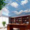 5/10pcs 30cm/11.8inch Ceiling Decoration Wall Stickers Ceiling Decoration Suitable for Kitchen and Bedroom Ceilings