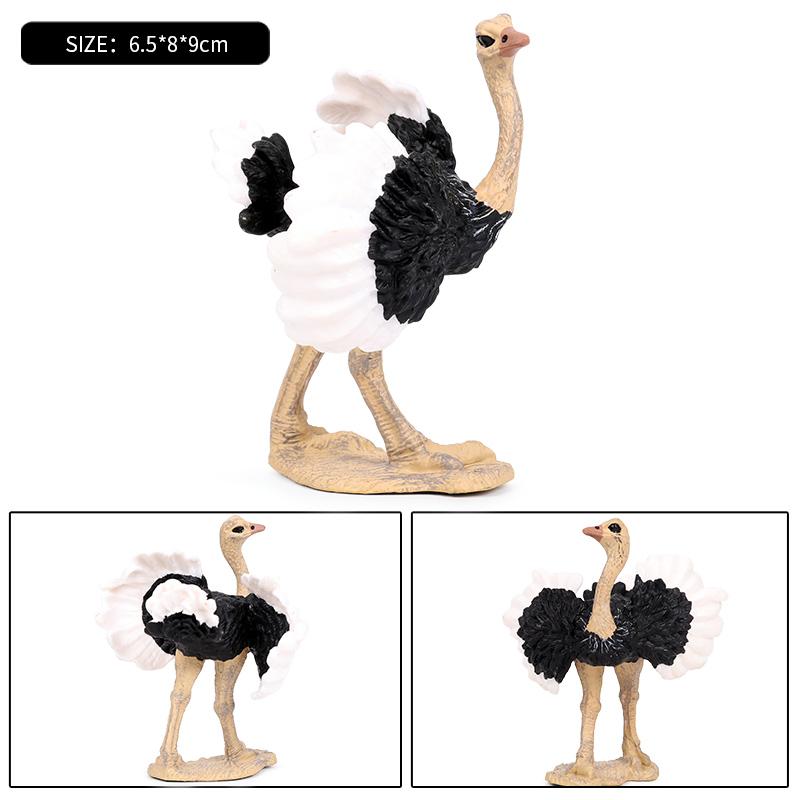 Figurine Păsări de Grădină Oenux Struț Comun Struthio Animale Model Figurine de Acțiune din PVC Colecție Jucării Cadou de Ziua de Naștere pentru Copii