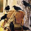 Spooky Halloween Black Crow Feather Decor Set Scary Ravens for Outdoor Garden Party Decoration Creepy Bird Themed Ornaments