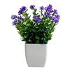 Simulated Potted Plants Mini Eucalyptus And Camellia Buds Potted Plant Maintenance-Free Fake Plants