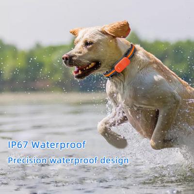 Lokalizator zwierząt GPS Wodoodporny elektroniczny płot Obroża dla psa i kota Zapobieganie zgubieniu Wielokrotne pozycjonowanie