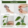 SHGO-Garden Plants Climbing Wall Support 60 PCS Plant Clips, Snap Fixtures Self-Adhesive Hooks Stickies Garden Clipping Fixer