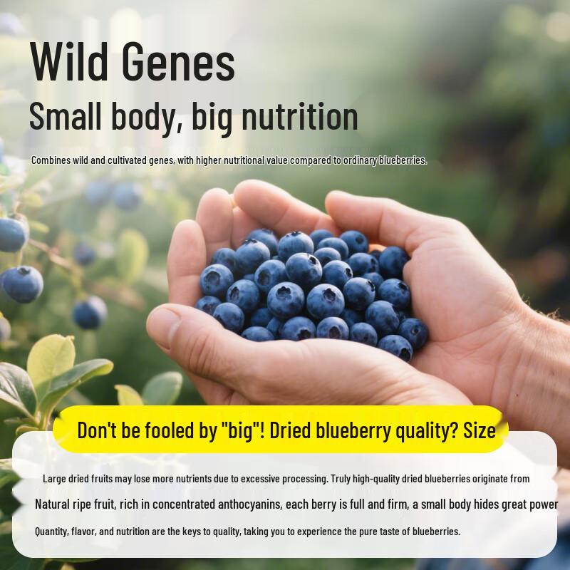 Miaobole Organic Dried Blueberries