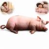 40Cm Realistic Pig Plush Toy Cute Funny Animal Stuffed Pillow Soft Dog Cat Sleeping Cushion Creative Home Decor Birthday Gift