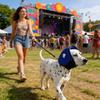Protection Auditive Chien Calmant Oreillettes Réduction du Bruit Imperméable Chien Apaisant Cache-tête Résistant aux Chocs Oreillettes pour Chien